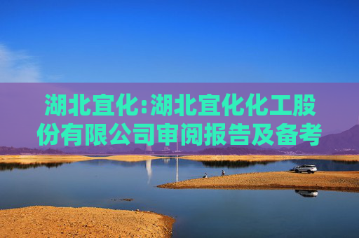 湖北宜化:湖北宜化化工股份有限公司审阅报告及备考财务报表