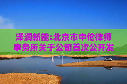 泽润新能:北京市中伦律师事务所关于公司首次公开发行股票并在创业板上市的法律意见书