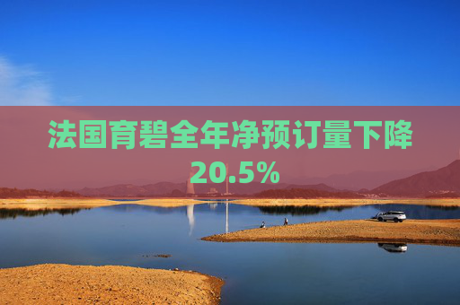 法国育碧全年净预订量下降 20.5%