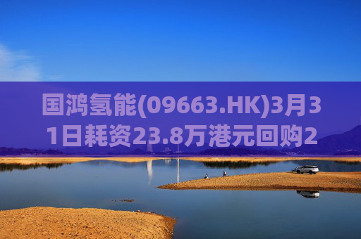 国鸿氢能(09663.HK)3月31日耗资23.8万港元回购2.65万股