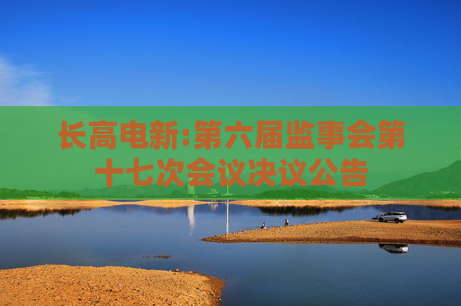 长高电新:第六届监事会第十七次会议决议公告