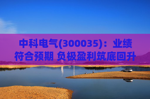 中科电气(300035)：业绩符合预期 负极盈利筑底回升