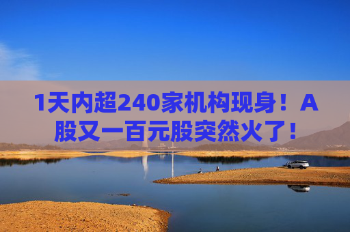 1天内超240家机构现身！A股又一百元股突然火了！