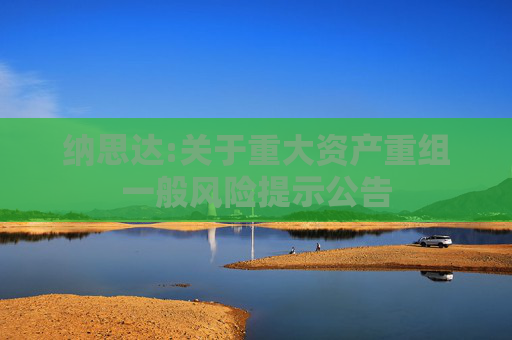 纳思达:关于重大资产重组一般风险提示公告