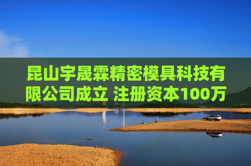 昆山宇晟霖精密模具科技有限公司成立 注册资本100万人民币