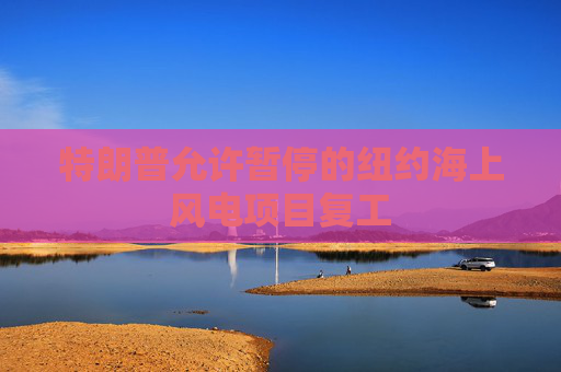 特朗普允许暂停的纽约海上风电项目复工