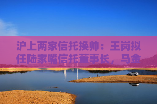 沪上两家信托换帅：王岗拟任陆家嘴信托董事长，马金履新爱建信托董事长