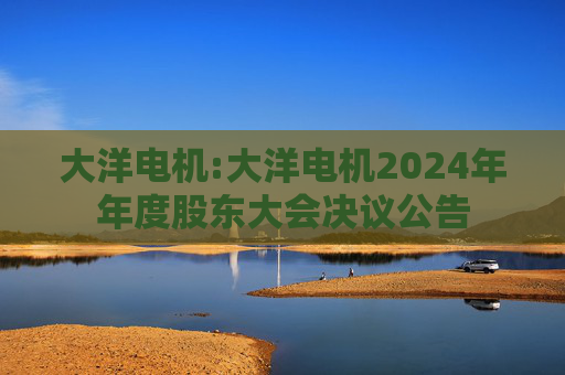 大洋电机:大洋电机2024年年度股东大会决议公告