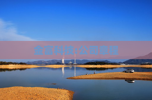 金富科技:公司章程