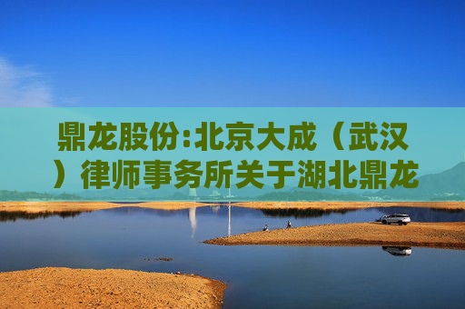 鼎龙股份:北京大成（武汉）律师事务所关于湖北鼎龙控股股份有限公司2024年年度股东大会的法律意见书