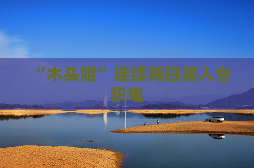 “木头姐”连续两日买入台积电