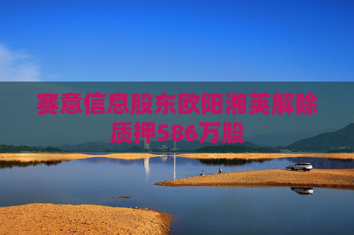 赛意信息股东欧阳湘英解除质押586万股