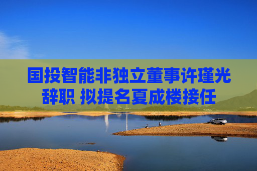 国投智能非独立董事许瑾光辞职 拟提名夏成楼接任