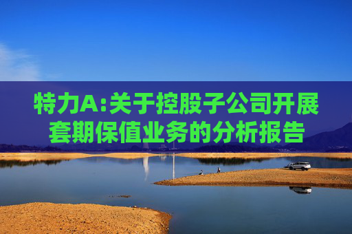 特力A:关于控股子公司开展套期保值业务的分析报告