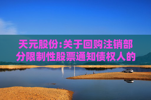 天元股份:关于回购注销部分限制性股票通知债权人的公告