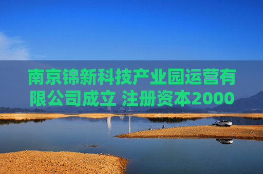 南京锦新科技产业园运营有限公司成立 注册资本2000万人民币