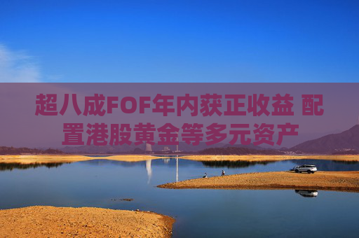 超八成FOF年内获正收益 配置港股黄金等多元资产