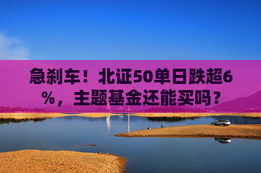 急刹车！北证50单日跌超6%，主题基金还能买吗？