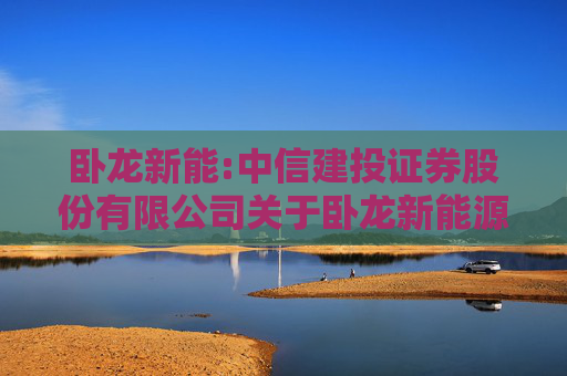 卧龙新能:中信建投证券股份有限公司关于卧龙新能源集团股份有限公司本次重大资产重组前业绩异常或存在拟置出资产情形的相关事项之专项核查意见