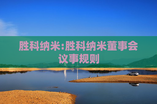 胜科纳米:胜科纳米董事会议事规则