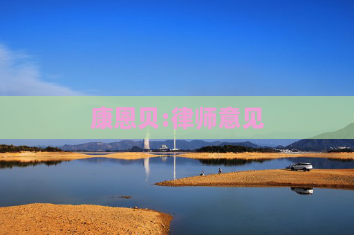 康恩贝:律师意见