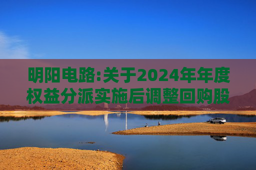 明阳电路:关于2024年年度权益分派实施后调整回购股份价格上限的公告