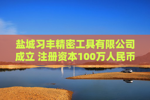 盐城习丰精密工具有限公司成立 注册资本100万人民币