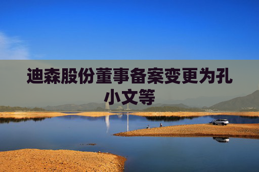迪森股份董事备案变更为孔小文等
