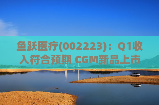 鱼跃医疗(002223)：Q1收入符合预期 CGM新品上市丰富增长动能