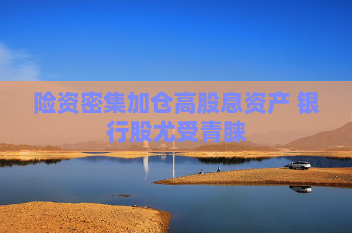 险资密集加仓高股息资产 银行股尤受青睐