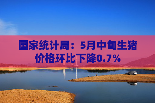 国家统计局：5月中旬生猪价格环比下降0.7%  第1张