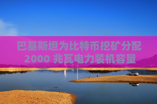 巴基斯坦为比特币挖矿分配 2000 兆瓦电力装机容量  第1张
