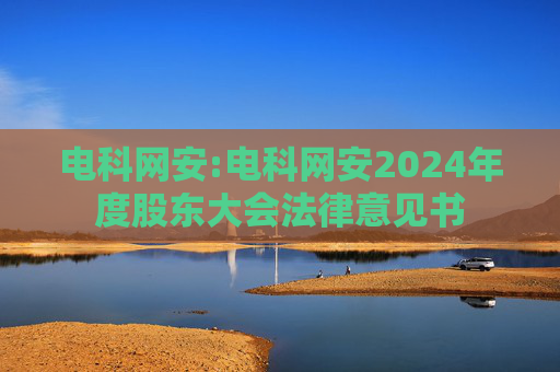 电科网安:电科网安2024年度股东大会法律意见书