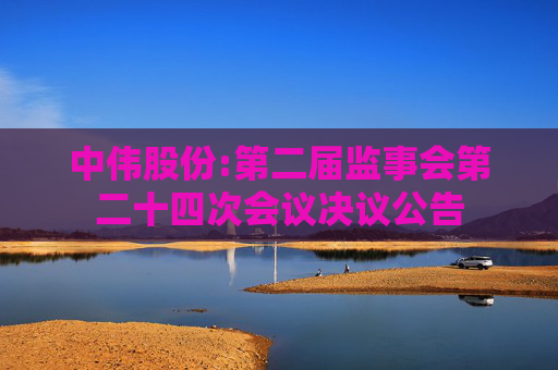 中伟股份:第二届监事会第二十四次会议决议公告  第1张