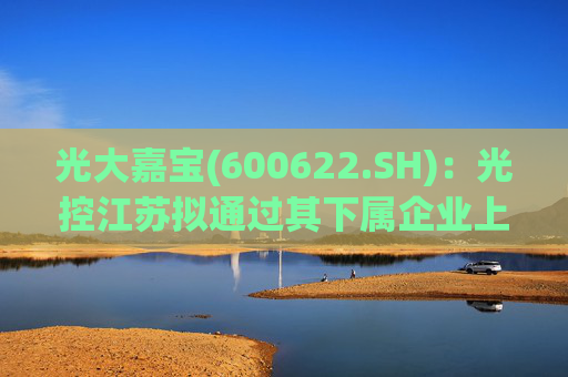 光大嘉宝(600622.SH)：光控江苏拟通过其下属企业上海安瑰向公司提供总额不超4亿元的财务资助  第1张