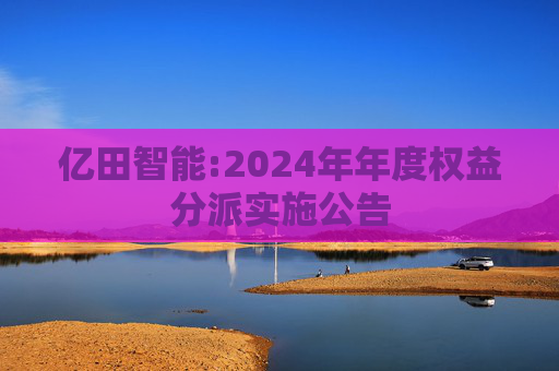 亿田智能:2024年年度权益分派实施公告