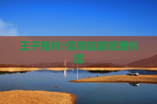 王子新材:信息披露管理制度