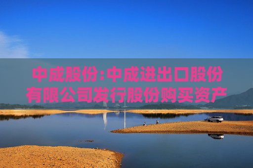 中成股份:中成进出口股份有限公司发行股份购买资产并募集配套资金暨关联交易预案
