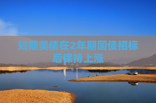 短期美债在2年期国债招标后保持上涨