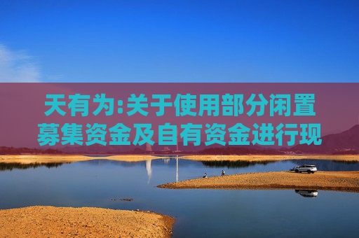 天有为:关于使用部分闲置募集资金及自有资金进行现金管理的公告