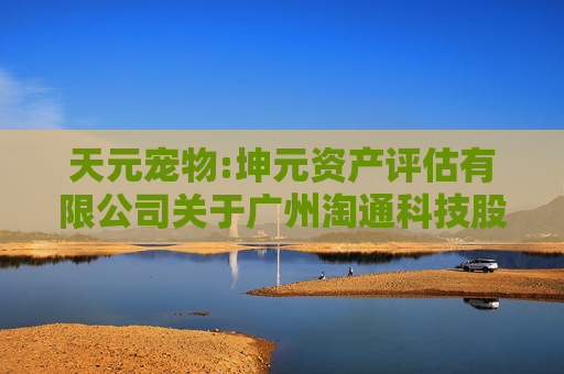 天元宠物:坤元资产评估有限公司关于广州淘通科技股份有限公司股权评估报告