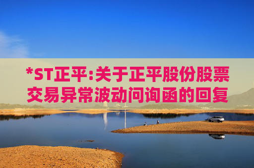 *ST正平:关于正平股份股票交易异常波动问询函的回复