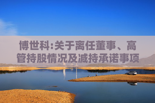 博世科:关于离任董事、高管持股情况及减持承诺事项的说明  第1张