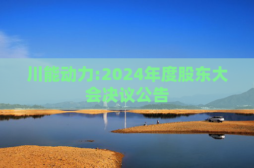 川能动力:2024年度股东大会决议公告