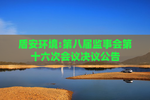 盾安环境:第八届监事会第十六次会议决议公告