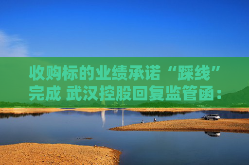 收购标的业绩承诺“踩线”完成 武汉控股回复监管函：不存在提前确认收入情形