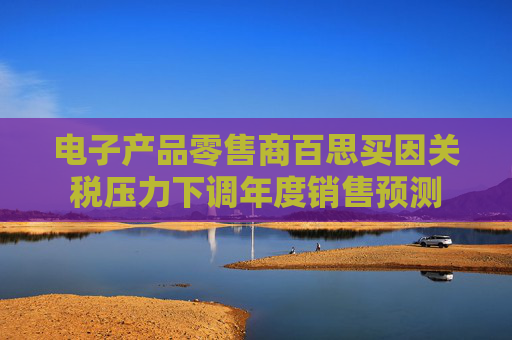 电子产品零售商百思买因关税压力下调年度销售预测
