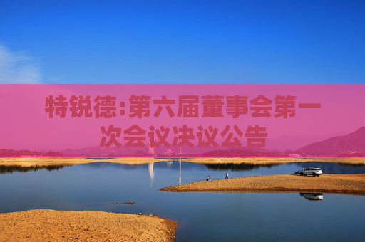 特锐德:第六届董事会第一次会议决议公告