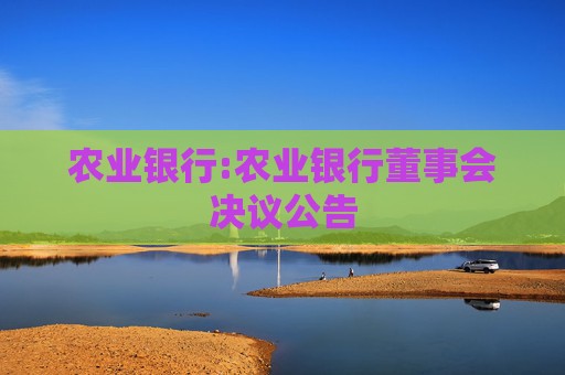 农业银行:农业银行董事会决议公告