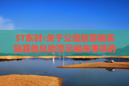 ST东时:关于公司股票被实施其他风险警示相关事项的进展公告